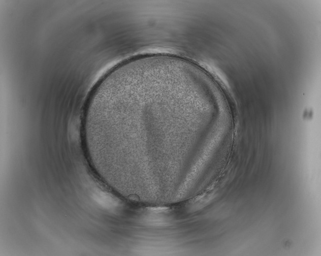 X0000091700108200709141107