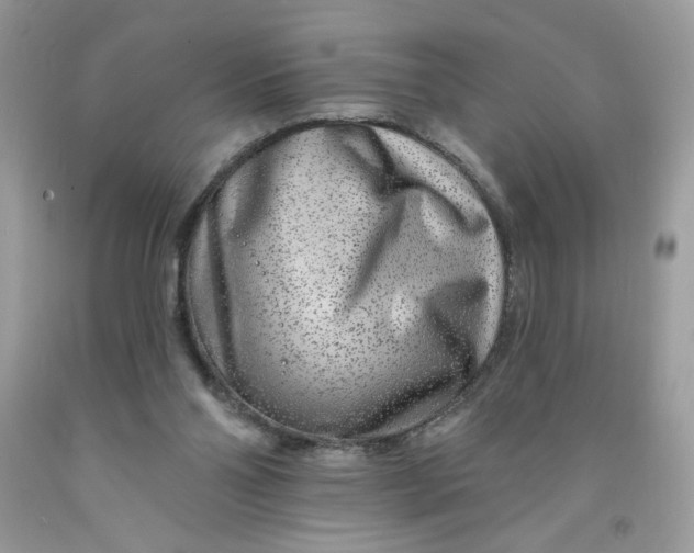 X0000091700110200709141107