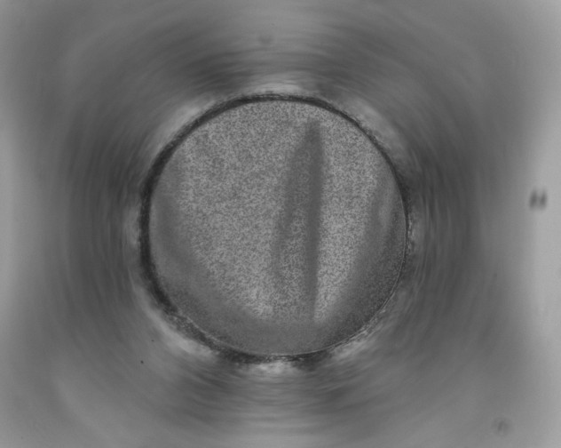 X0000091700112200709141107