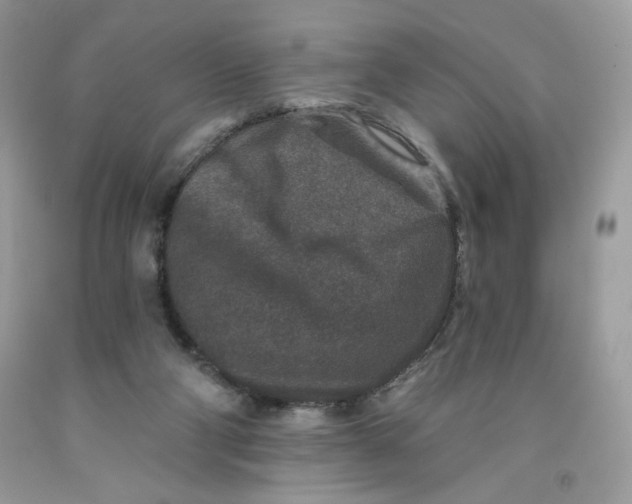 X0000091700114200709141107