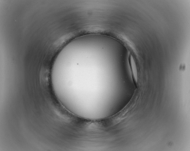 X0000091700115200709141107