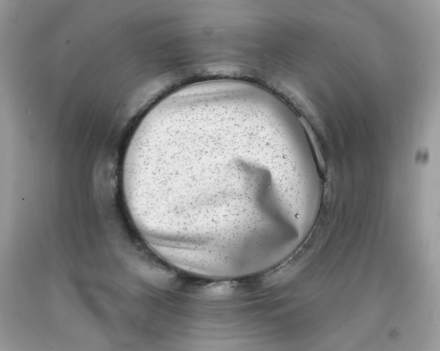 X0000091700116200709141107