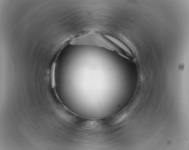 X0000091700117200709141107