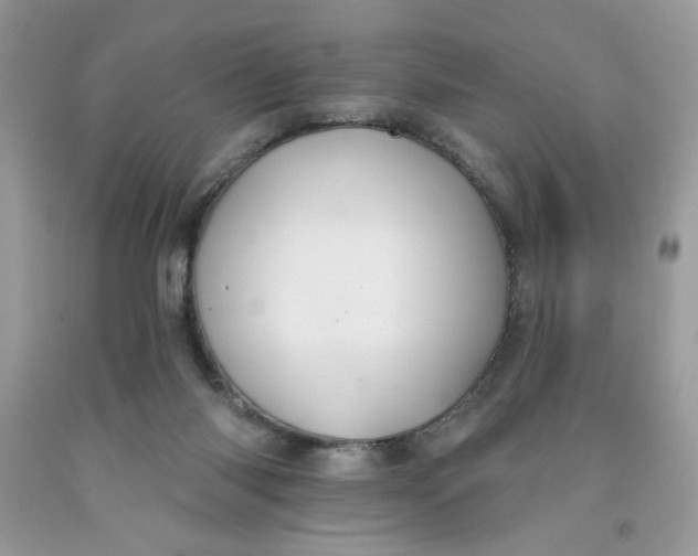 X0000091700118200709141107