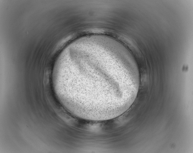 X0000091700120200709141107