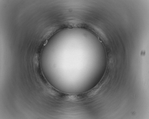 X0000091700121200709141107