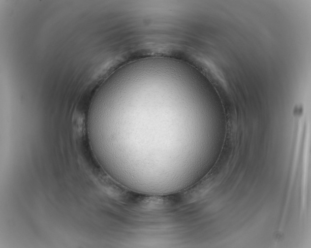 X0000091700123200709141107