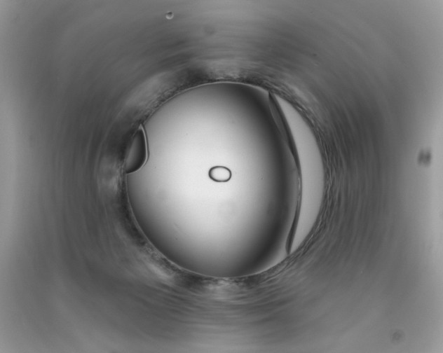 X0000091700125200709141107