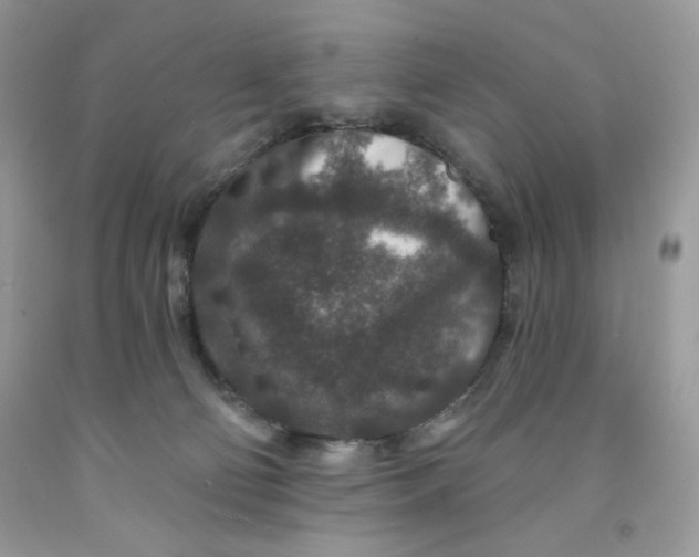 X0000091700130200709141107