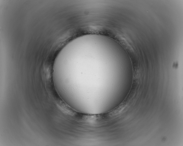 X0000091700131200709141107