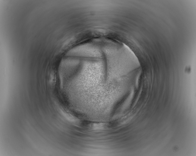 X0000091700134200709141107