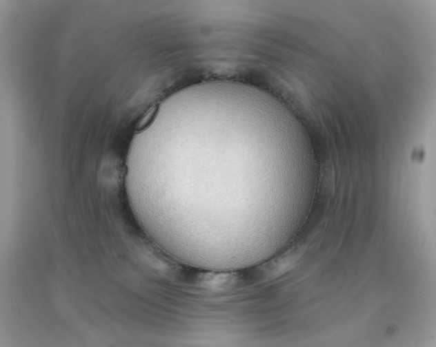 X0000091700135200709141107