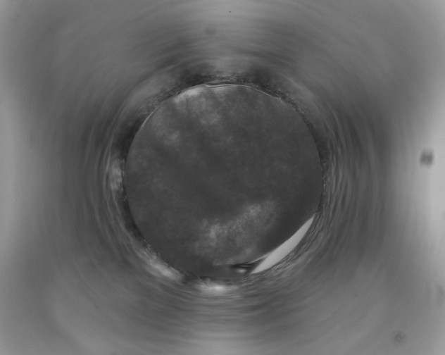 X0000091700137200709141107