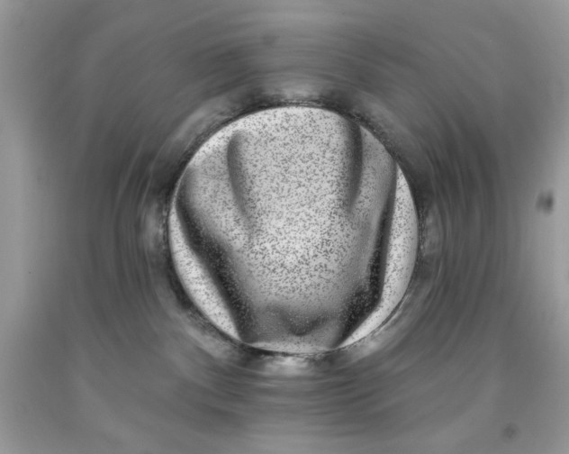 X0000091700140200709141107