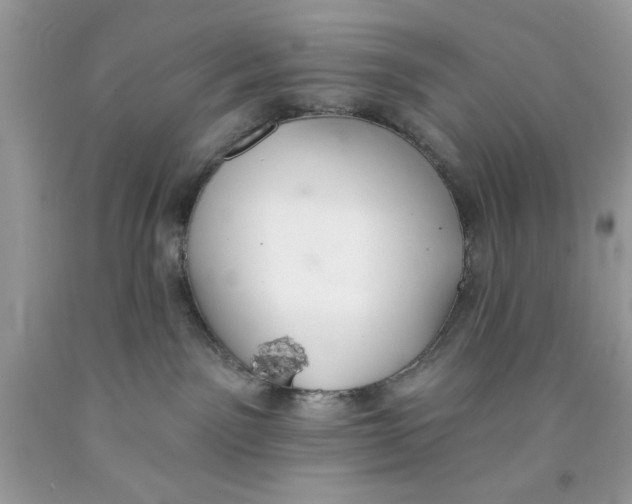 X0000091700141200709141107