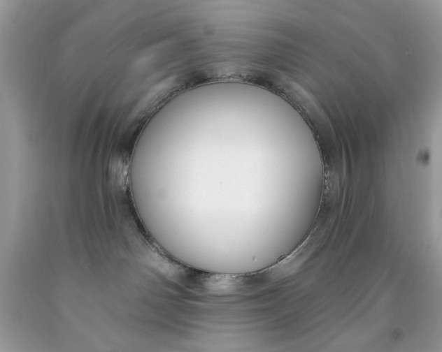 X0000091700142200709141107