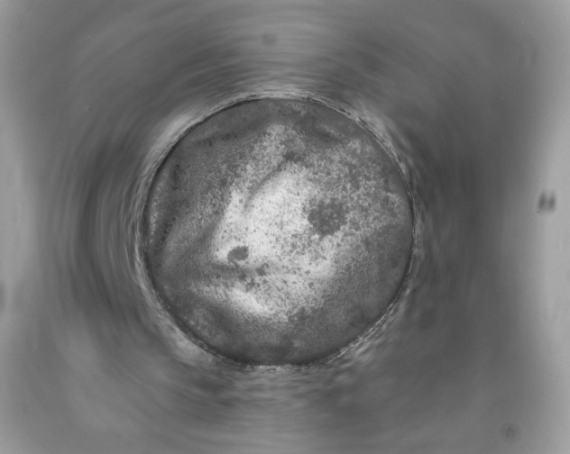 X0000091700145200709141106