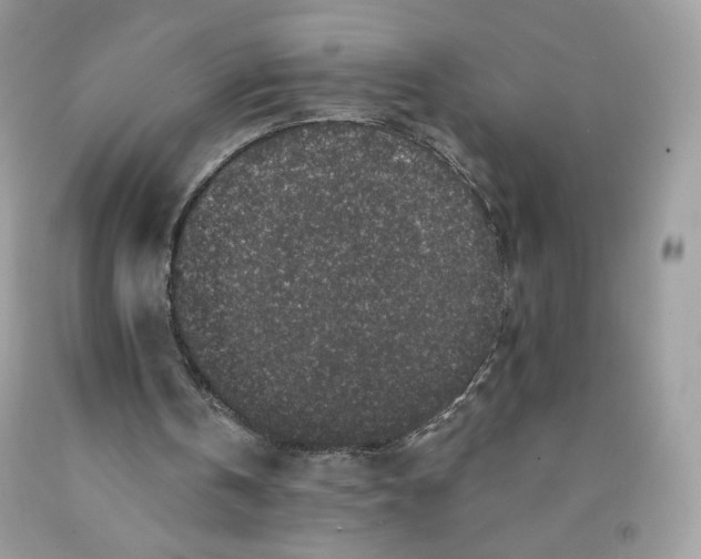 X0000091700146200709141106