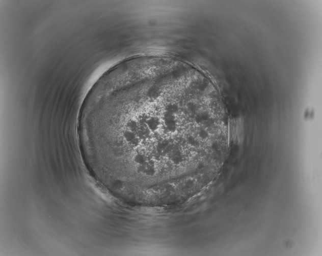 X0000091700147200709141106