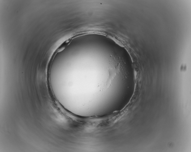 X0000091700148200709141106