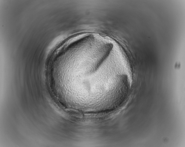 X0000091700149200709141106