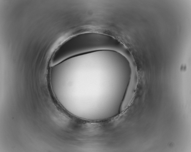 X0000091700150200709141106