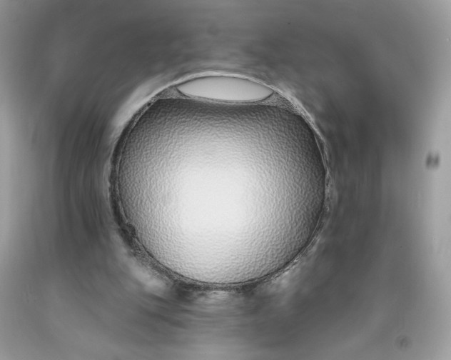 X0000091700151200709141106