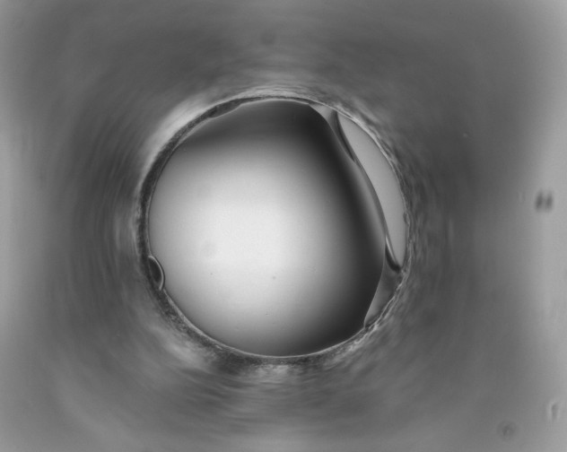 X0000091700152200709141106