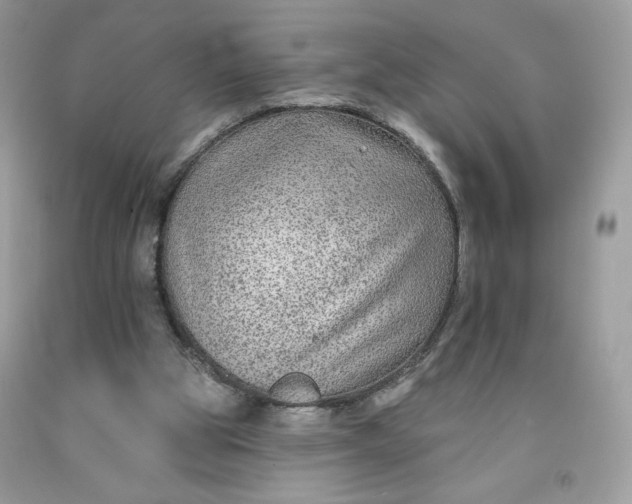 X0000091700153200709141106