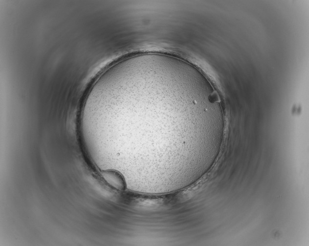 X0000091700155200709141106