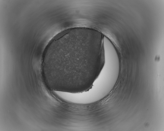 X0000091700156200709141106