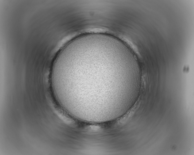 X0000091700159200709141106