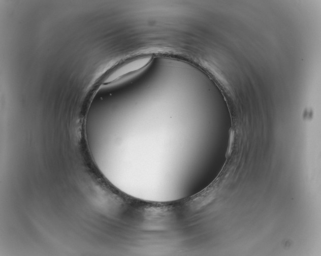 X0000091700160200709141106