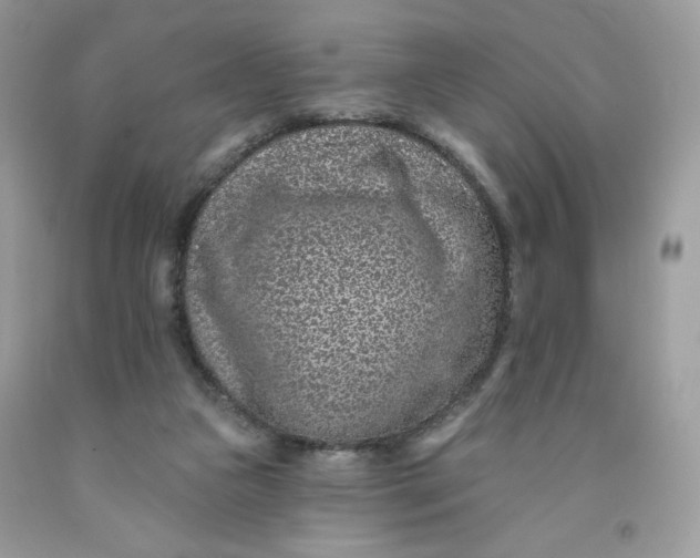 X0000091700161200709141107