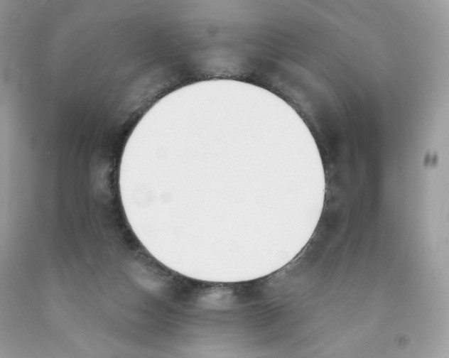 X0000091700162200709141107