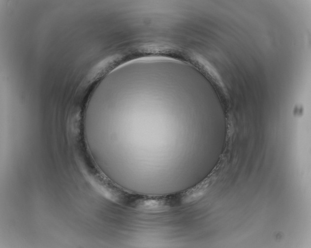 X0000091700163200709141107