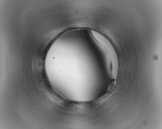 X0000091700164200709141107