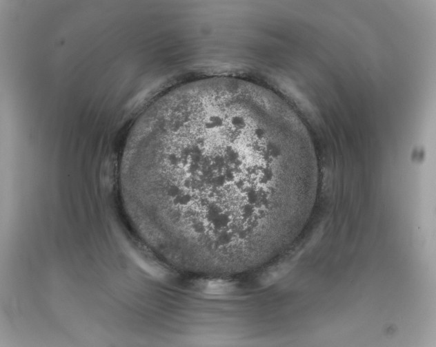 X0000091700165200709141107