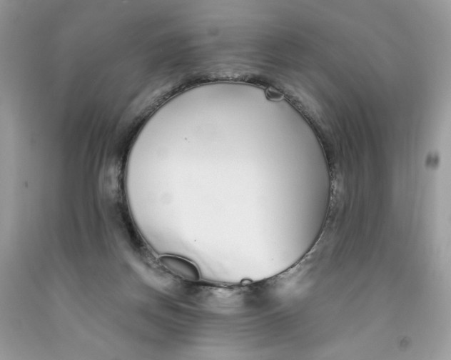 X0000091700166200709141107