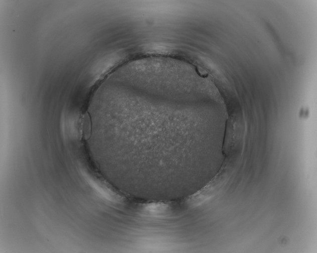 X0000091700168200709141107