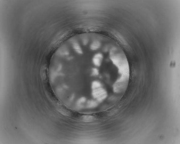 X0000091700169200709141107