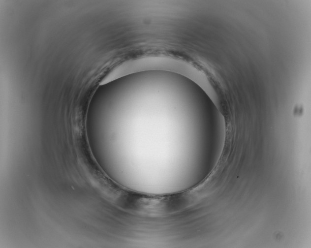 X0000091700170200709141107