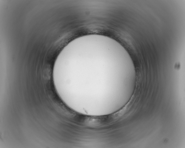 X0000091700174200709141107