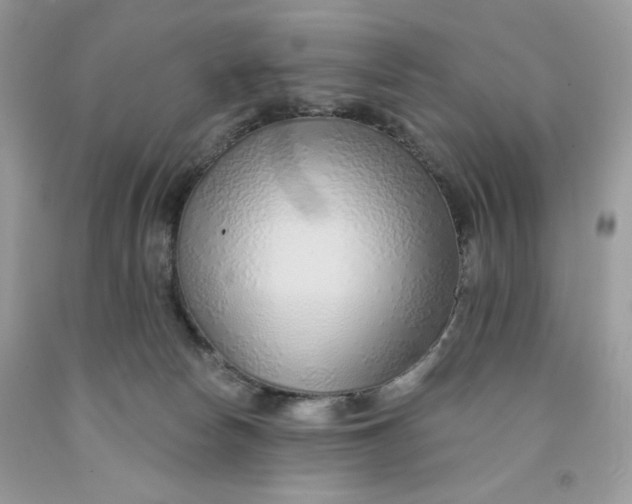 X0000091700178200709141107