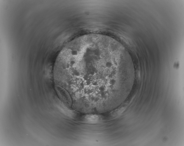 X0000091700181200709141107