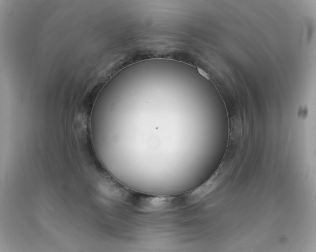 X0000091700184200709141107