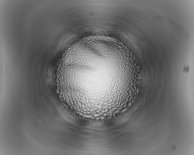 X0000091700185200709141107