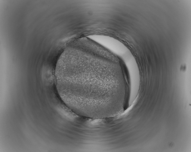 X0000091700186200709141107