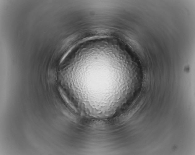 X0000091700189200709141107