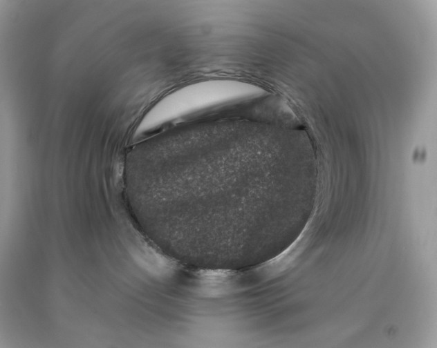 X0000091700192200709141107